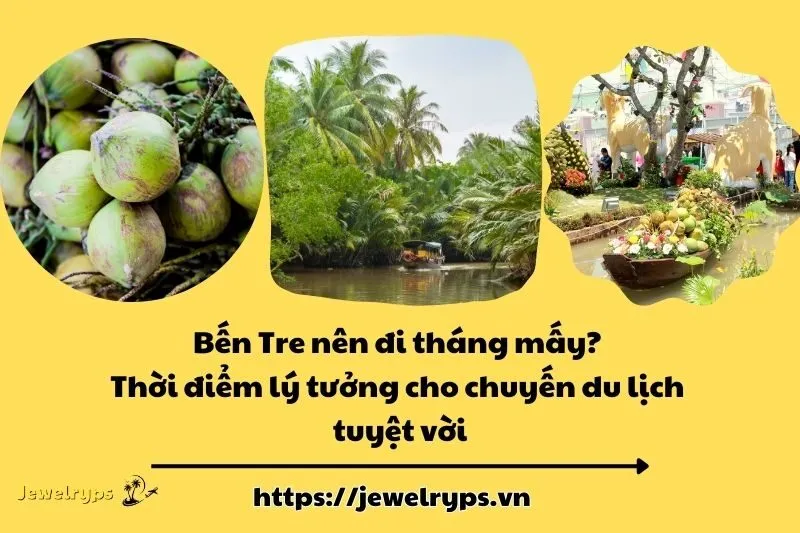 Bến Tre nên đi tháng mấy? Thời điểm lý tưởng cho chuyến du lịch tuyệt vời