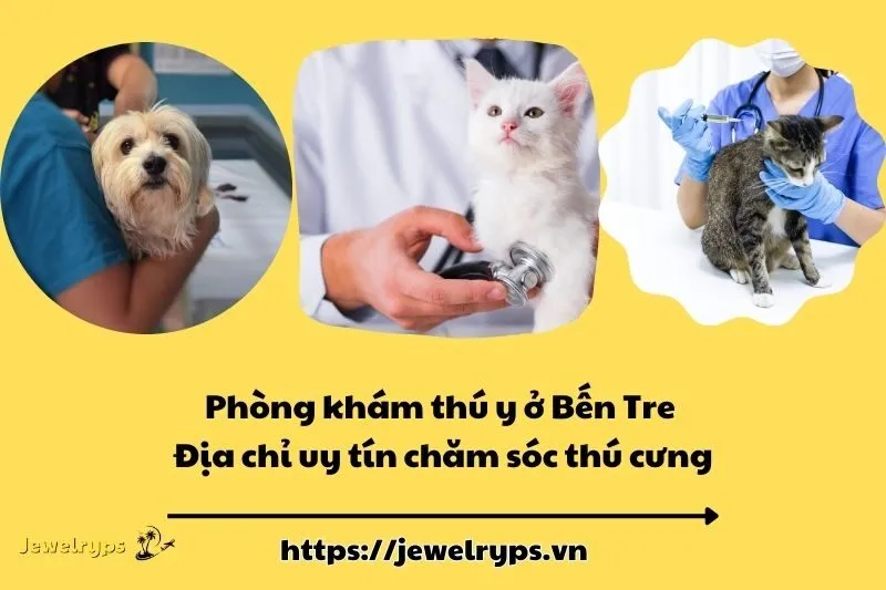 Phòng khám thú y ở Bến Tre - Địa chỉ uy tín chăm sóc thú cưng